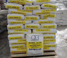 智利午夜精品影院